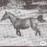 Minorka