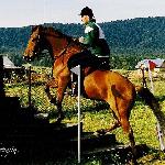 Pralinka - X Dni Huculskie 2004r.<br />&copy; Małgorzata Serafin-Kozyra