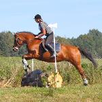 Pralinka - XV Dni Huculskie 2009<br />&copy; kejti