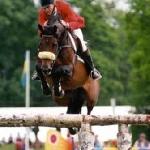 Emilion / Gelha's VDL Emilion