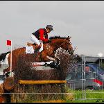 Orlean - CIC** Strzegom 2009<br />&copy; Oliwia Chmielewska