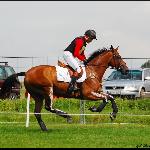 Orlean - CIC** Strzegom 2009<br />&copy; Oliwia Chmielewska