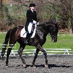 Hiszpan - Audi Centrum Wrocław Cup Strzegom - 2010<br />&copy; Katarzyna Boryna