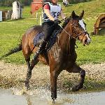 Jazarro<br />&copy; QnWortal.com<br /><i>Jeździec: Judyta Bronowicka</i>