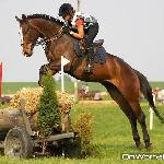 Jazarro<br />&copy; QnWortal.com<br /><i>Jeździec: Judyta Bronowicka</i>