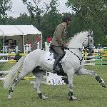 Atylla ex Attyla - CSIO**** Poznań 2005<br />&copy; voltahorse.pl
