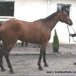 Wenecja