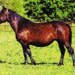 Fraza - 1999r.<br />&copy; Anna Deszczyńska