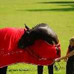 El Ejido - ZT Bogusławice 2010<br />&copy; Oliwia Chmielewska