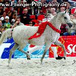Gaskonia - Gaskonia 2006<br />&copy; Irina Filsinger