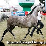 Amra - Amra 2008<br />&copy; Irina Filsinger