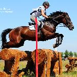 Evero