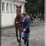 Czarodziejka - Mistrzostwa Polski Młodych Koni w WKKW 2008<br />&copy; Małgorzata Odyniec