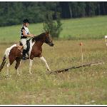 Boliwia - Filice 2010<br />&copy; Beata Gan