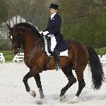 Pegasus HB<br />&copy; faraa (c) Mazurek-Konie