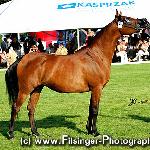 Pilica - Pilica 2006<br />&copy; Irina Filsinger