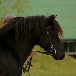 Gejzer - Majówka w Regetowie 2010<br />&copy; Nikoletta Woźniczka