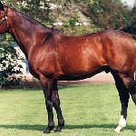 Sadler's Wells