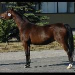 Eutona
