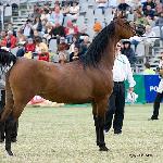 Eutona - Eutona 2008<br />&copy; R.Reed