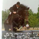 Wiking