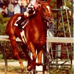 Affirmed