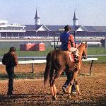 Affirmed
