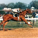 Affirmed