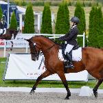 Emol<br /><i>fb Dressage24.pl</i>