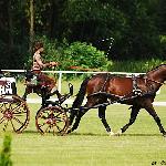 Bel Amo BH - L-1, Warka 2009<br />&copy; Oliwia Chmielewska