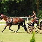 Bel Amo BH - L-1, Warka 2009<br />&copy; Oliwia Chmielewska
