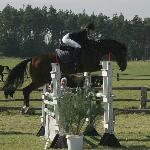 Ilian - Mistrzostwa Okręgu Zachodniopomorskiego - Bielin, 1-2.10.2005<br />&copy; Zofia Halina Jezierska