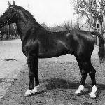 Ferdinand