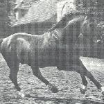 Ferdinand
