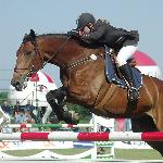 Latino - C.S.I.*** Sopot 2005<br />&copy; volt@