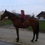 Hrubieszów