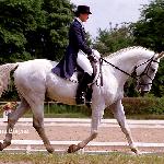 Wojażer<br /><i>Julia Krzyżanowska i Wojażer, Sopot 2001r.</i>