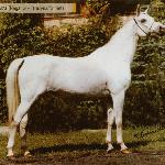 Dewiza - 1990<br />&copy; Zofia Raczkowska