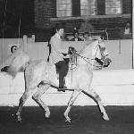 Shaikh Al Badi / Sheik Al Badi