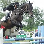 Calido L - CSIO**** Poznań 2005<br />&copy; voltahorse.pl