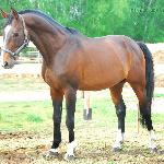 Ludger