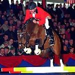 Quidam's Rubin