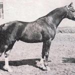 Kumir / Кумир