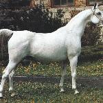 Emfaza