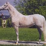 Edissa