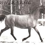 Wielka Este