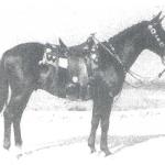 Bataan
