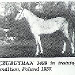 Czubuthan - Czubuthan 1937