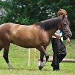 Lady / Leidii - Hawłowice 2009