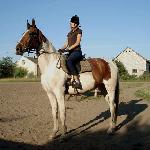 Furia